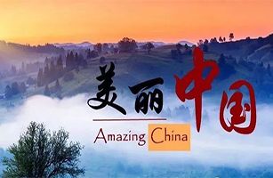 六五環(huán)境日，共赴美麗中國之約